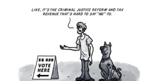 SQ 820: We’ve got another election on our hands SQ 820 election