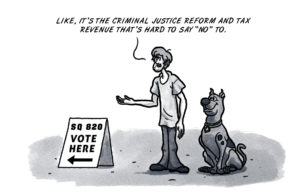 SQ 820: We’ve got another election on our hands SQ 820 election