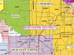 Appellate court ruling extends fight over traffic ticket jurisdiction in Indian Country Hooper v. City of Tulsa