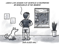 Blockbuster: Oklahoma weather presents DVD-size hail DVD-size hail