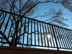 We hate each other: Growing incivility undermines the values of our democracy incivility undermines the values of our democracy