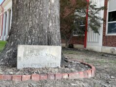 Roundup: Bid riggers plead guilty, audit shows Seminole County theft, Talihina property disputed Seminole County theft, audit