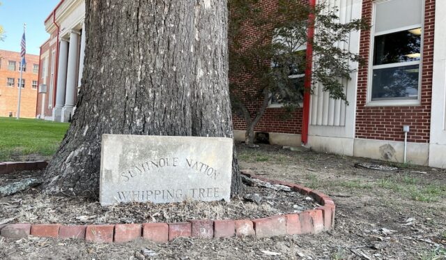 Seminole County theft, audit