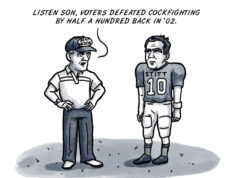 Personal fowl: Switzer blitzes Stitt on rooster rumbles Switzer Stitt cockfighting