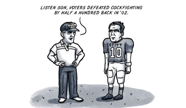 Switzer Stitt cockfighting