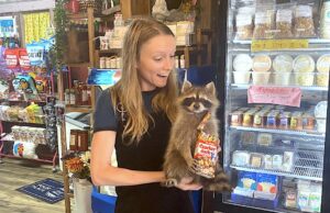 Allow me to reintroduce myself: Megan Prather returns for distribution, development role Megan Prather, NonDoc distribution, taxidermied raccoon