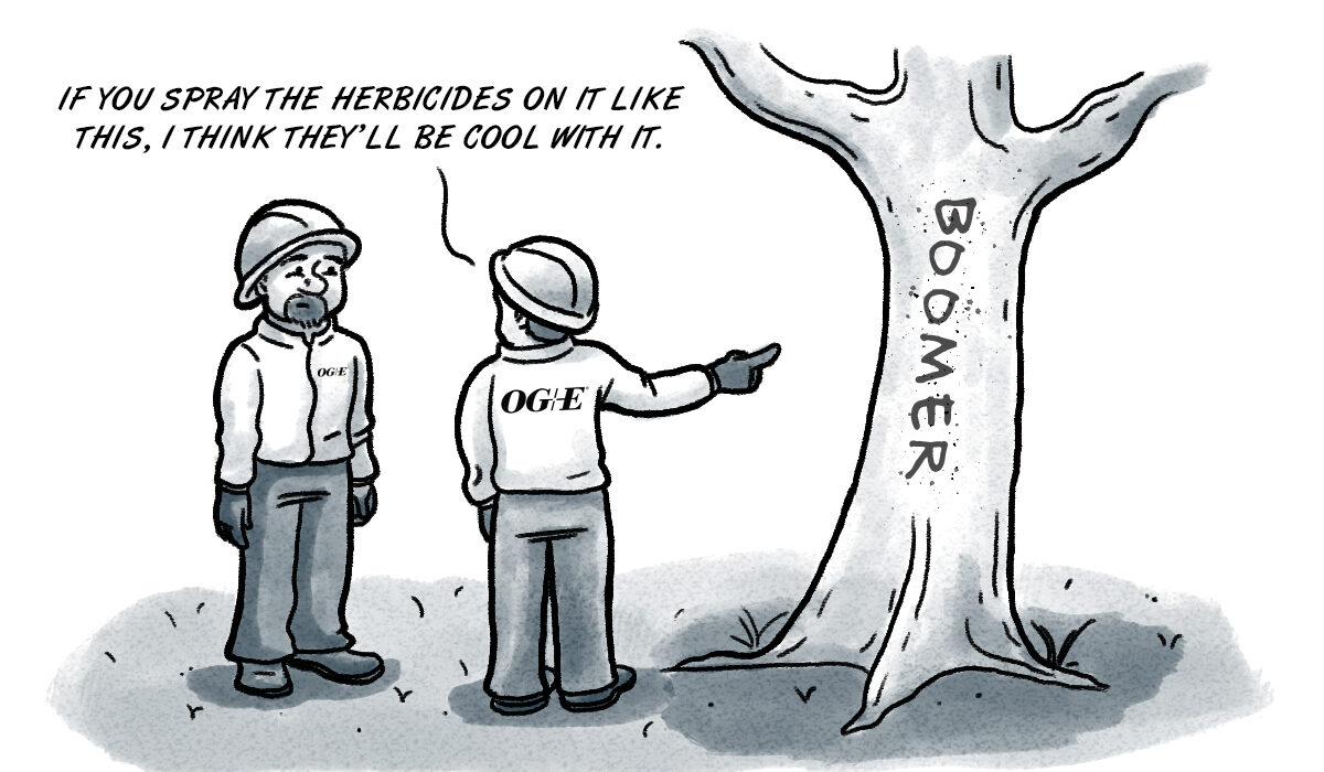 Norman electricity powerline politics