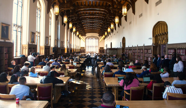 DEI higher education programs