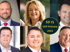 Cheat sheet: 6 Republicans seek open Senate District 15 The six Republican candidates running for the Senate District 15 seat.