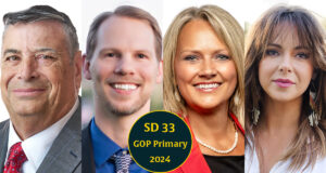 Cheat sheet: 4 seek Senate District 33 GOP nod in hopes to succeed Sen. Nathan Dahm Senate District 33