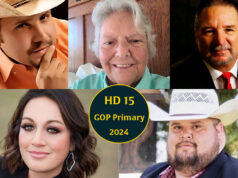 Cheat sheet: Former sheriff, country singer among 5 GOP candidates seeking HD 15 House District 15