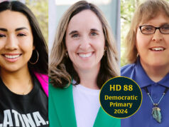 Cheat sheet: 3 seek House District 88 Democratic nod to succeed Rep. Mauree Turner House District 88