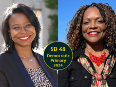 In open Senate District 48, Nice offers new blood as Johnson seeks old seat Senate District 48