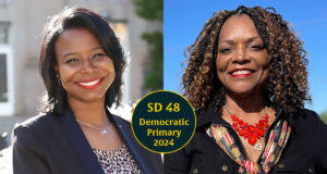 In open Senate District 48, Nice offers new blood as Johnson seeks old seat Senate District 48