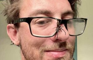 Cleared of bomb charge, Edmond spider breeder pleads guilty to cultivating mushrooms Oklahoma spiders Nick Krueger