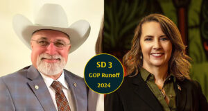 Senate District 3 runoff: ‘Lot of lies’ as Stephens, McIntosh compete for shifted seat Oklahoma State Senate District 3