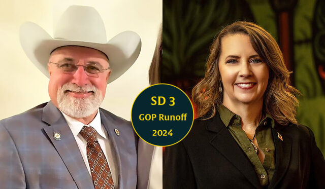 Oklahoma State Senate District 3