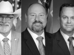 Voters sink Stephens, wash out Wallace, dump Davis Kevin Wallace loses, Blake Stephens ousted, Dean Davis defeated