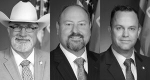 Voters sink Stephens, wash out Wallace, dump Davis Kevin Wallace loses, Blake Stephens ousted, Dean Davis defeated