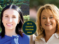 SD 15: Elizabeth Foreman, Lisa Standridge differ on library funding, education policies SD 15