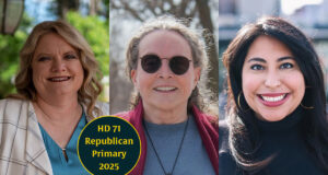 Cheat sheet: In a special election, 3 Republican women vie for chance to flip House District 71 House District 71 GOP primary