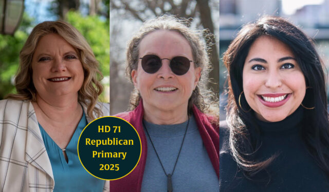 House District 71 GOP primary