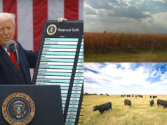 With tariffs all the talk, new policy could hurt farmers tariffs