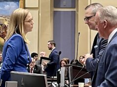 Legislature removes Allie Friesen as mental health commissioner Allie Friesen fired