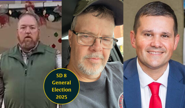 SD 8 general election