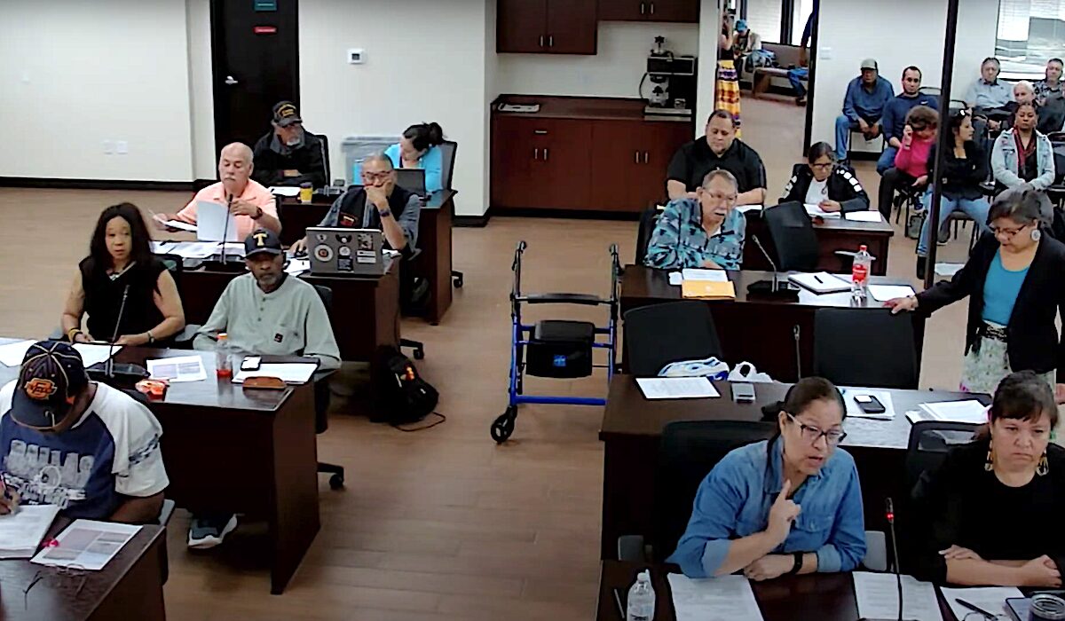 Seminole Nation General Council election