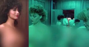 ‘I believe we now have answers’: Hilbert posits Jackie Chan film as explanation for Walters TV nudity Walters TV nudity, The Protector