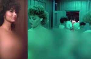 ‘I believe we now have answers’: Hilbert posits Jackie Chan film as explanation for Walters TV nudity Walters TV nudity, The Protector