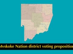 Elect 2 or 16? Muscogee election to decide ballot question on at-large vs. district-based voting Muscogee constitutional amendment