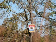 Stitt reloads in jurisdiction fight, appoints special prosecutor for tribal hunting cases tribal hunting and fishing