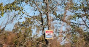 Stitt reloads in jurisdiction fight, appoints special prosecutor for tribal hunting cases tribal hunting and fishing