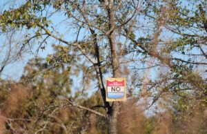 Stitt reloads in jurisdiction fight, appoints special prosecutor for tribal hunting cases tribal hunting and fishing