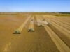Oklahoma soybean farmers among trade war casualties oklahoma soybeans