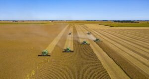 Oklahoma soybean farmers among trade war casualties oklahoma soybeans