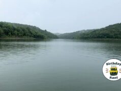 Birthday Rant: At Lake Tenkiller, we have lost something special to pollution Tenkiller